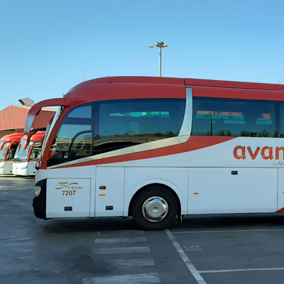 02-BUSNormalAVANZA